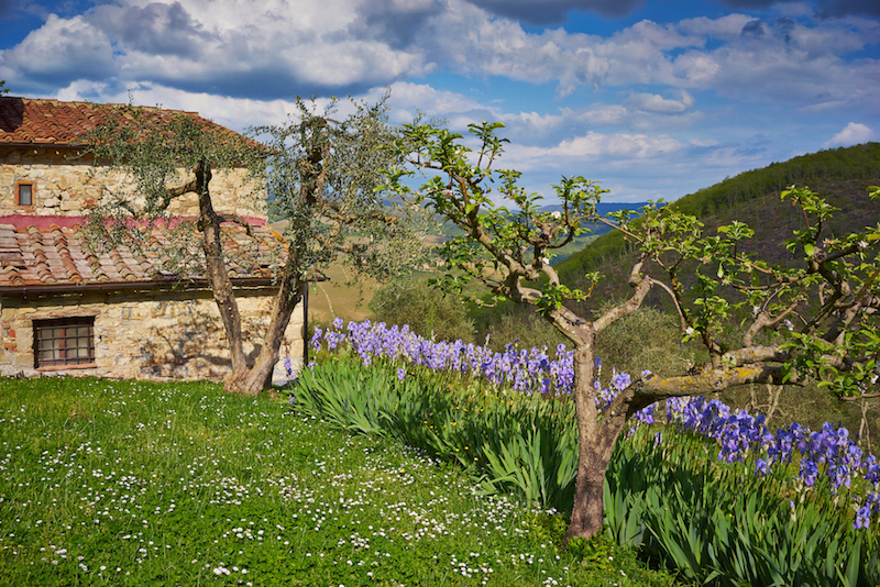 Azienda Querceto di Castellina | Im Chianti