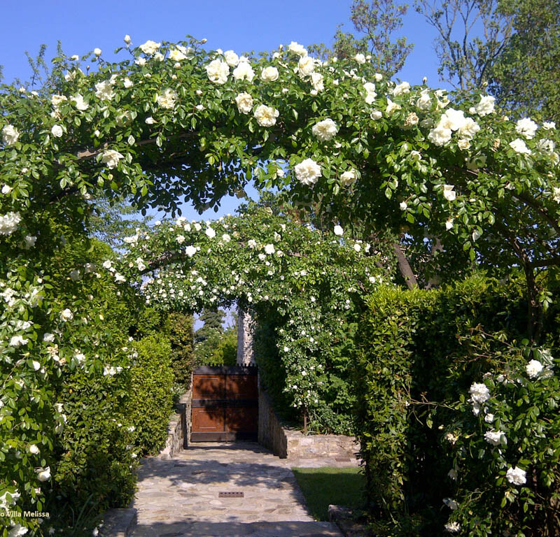 Villa Melissa - Entrance_web_