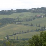 T11 - Toscana - am La Foce