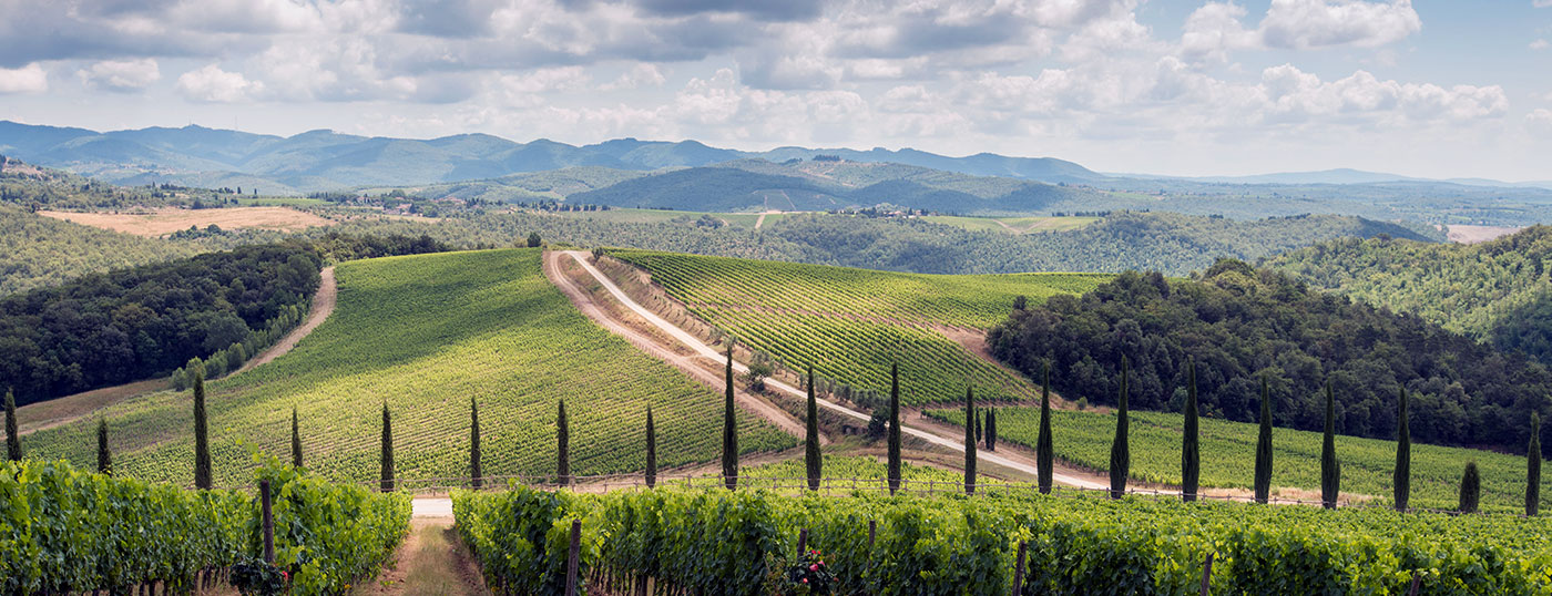 Toscana. Im Chianti. Weingut. Villa Dievole.