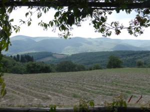 Chianti - Castelvecchi