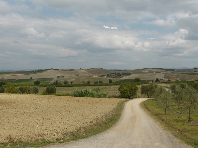 Toskana - Landschaft strada biancha