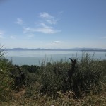 Lago Trasimeno