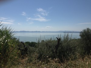 Lago Trasimeno