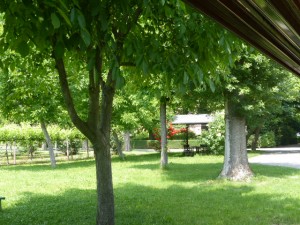 Villa San Donnino - Garten mit Lounge