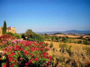 External_Fattoria Vecchia_Tuscany (2)