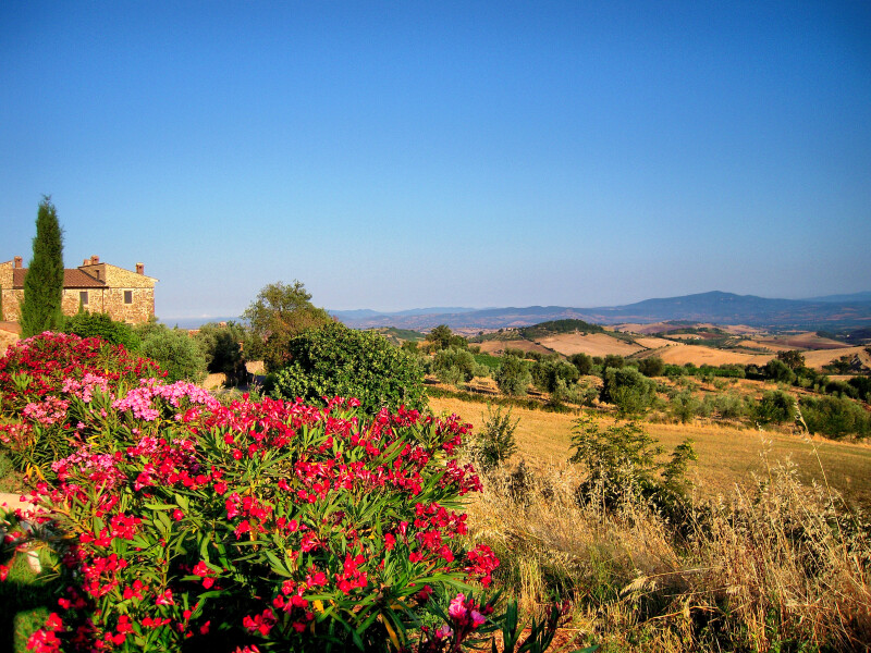 External_Fattoria Vecchia_Tuscany (2)