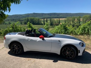 Im Weinberg vom Weingut Roth