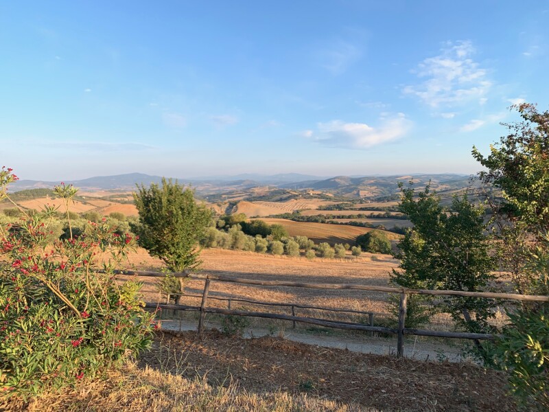 Maremma - TFV Morgenstimmung