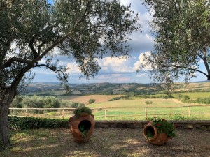 TOS-Tenuta Fattoria Vecchia -Maremma-Blick