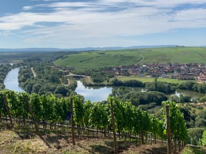 Vogelsburg - Juliusspital und Mainschleife