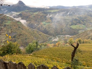 Ausblick Rielingerhof beim Ritten-Bozen