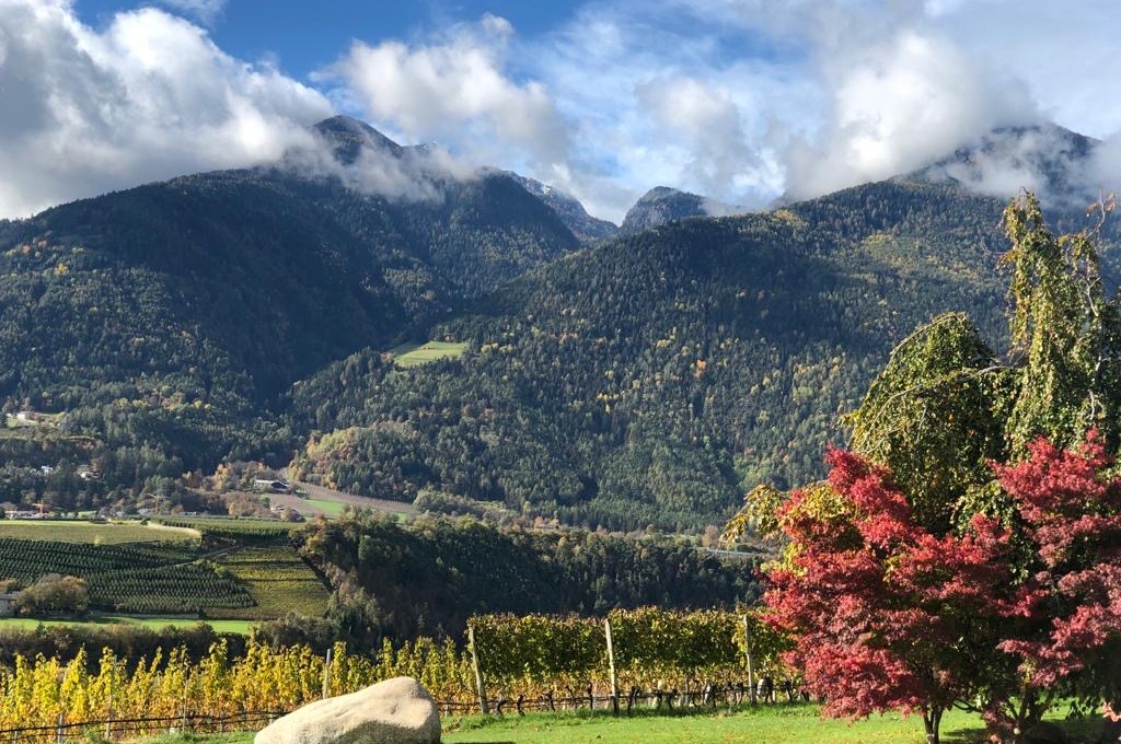 Südtirol im Herbst - Vinum Classic 2020