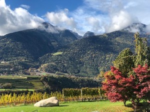 Südtirol im Herbst - Vinum Classic 2020