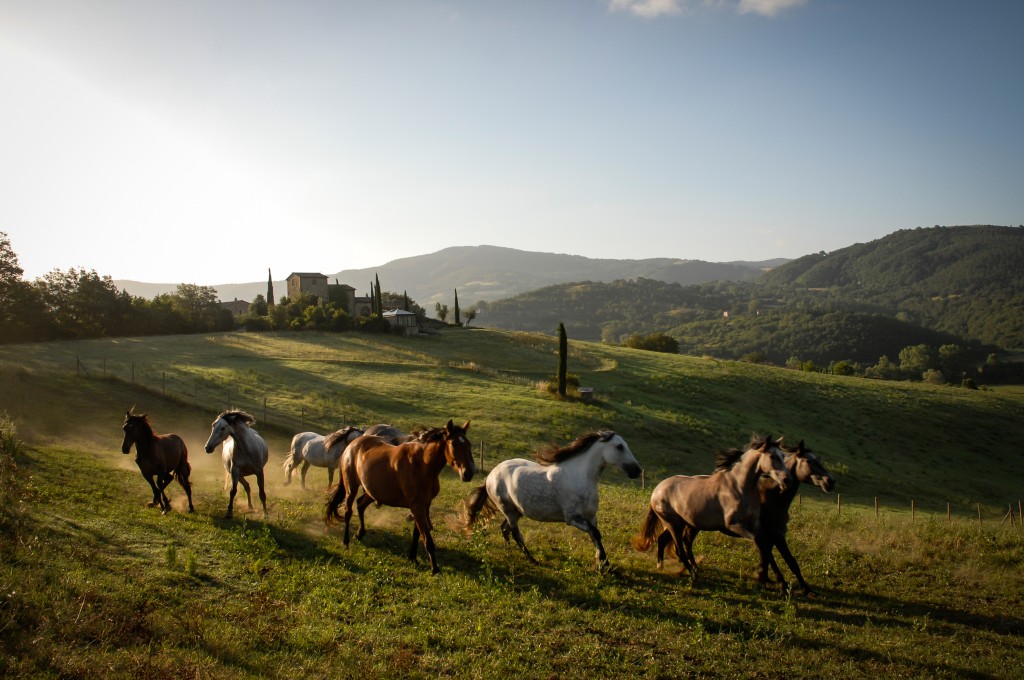 Copyright Castello di Reschio