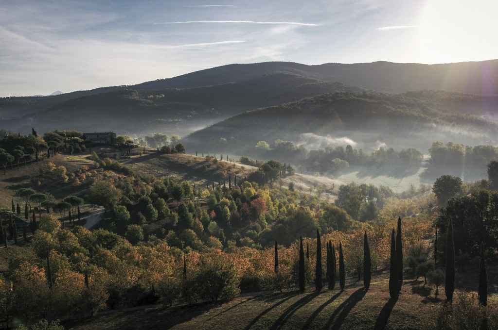 DCIM100MEDIADJI_0055.JPG - Copyright_ Castello di Reschio