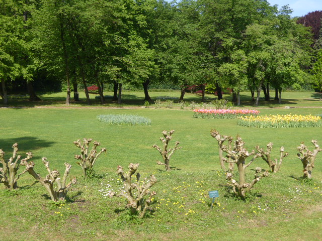 Parco Sigurta Wald-Wiese