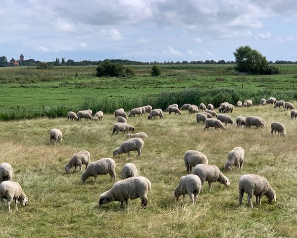 Ostfriesland