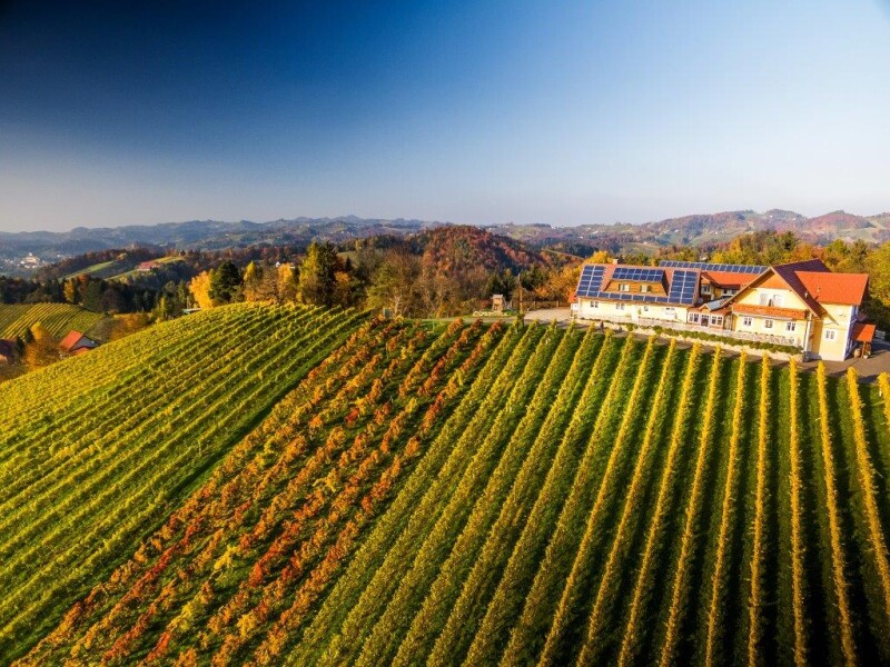 Luftbild 2019 weingut muster